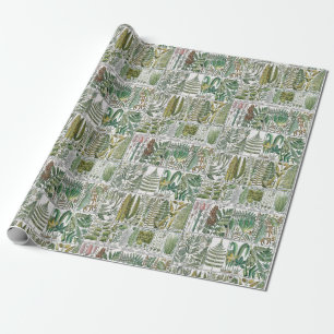 Papel De Presente Placa de Livro Botânico de Samambaias Estilizadas