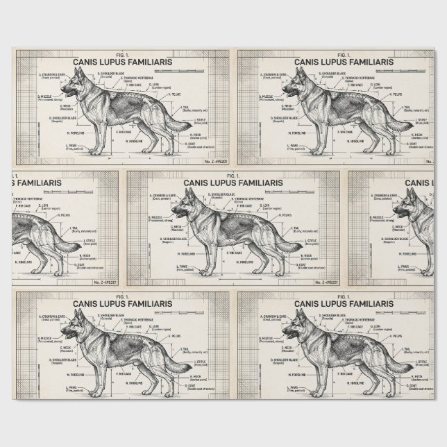 Papel De Presente Plano de Cachorro Pastor Alemão (Aberto)