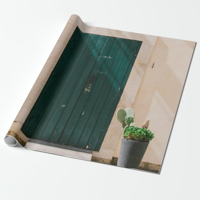 PAPEL DE PRESENTE PLANTA DE CACTÃO VERDE PERTO DA PORTA VERDE (Desenrolado)