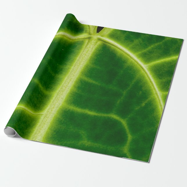 Papel De Presente Planta de folhas verdes (Desenrolado)