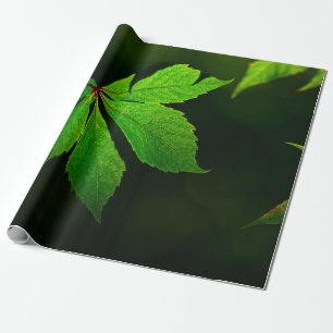 Papel De Presente Planta de textura de veias de folha