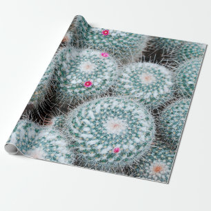 Papel De Presente Plantas de Cactus com Flores Rosa Pequenas