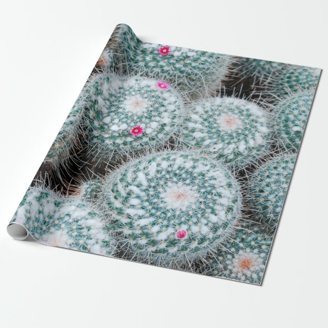 Papel De Presente Plantas de Cactus com Flores Rosa Pequenas (Desenrolado)