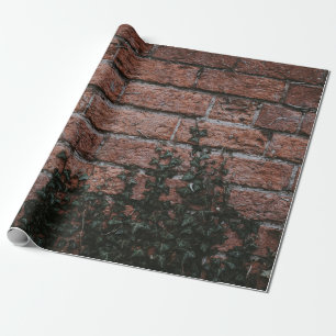 Papel De Presente Plantas de folhas verdes perto da parede de tijolo