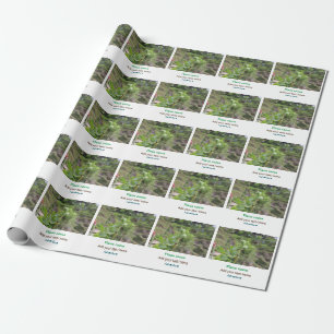 Papel De Presente Plantas naturais fotografia água de praia viagem