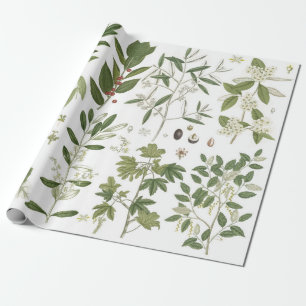 Papel De Presente Plantas Verdes Vintage