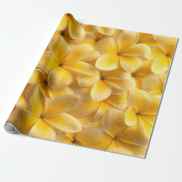 Papel De Presente Plumeria Fllower Yellow