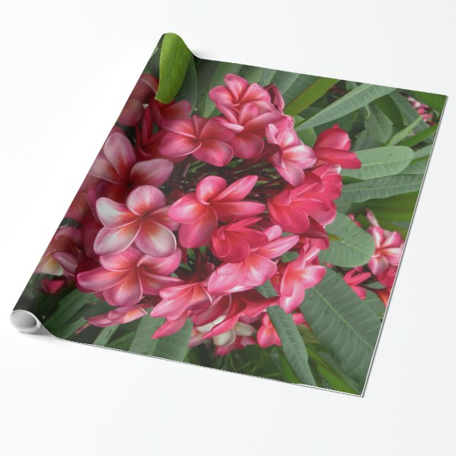 Papel De Presente Plumeria havaiano (Desenrolado)