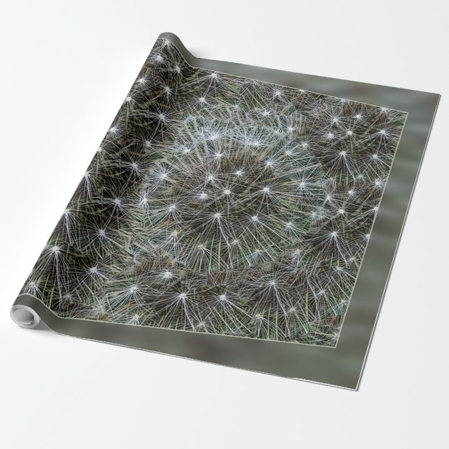 Papel De Presente Pó de dandelion girando (Desenrolado)