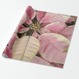 Papel De Presente Poinsettias Rosa
