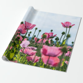Papel De Presente Poppies Rosa
