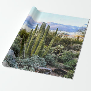 Papel De Presente Por do sol do Succulent de Scottsdale