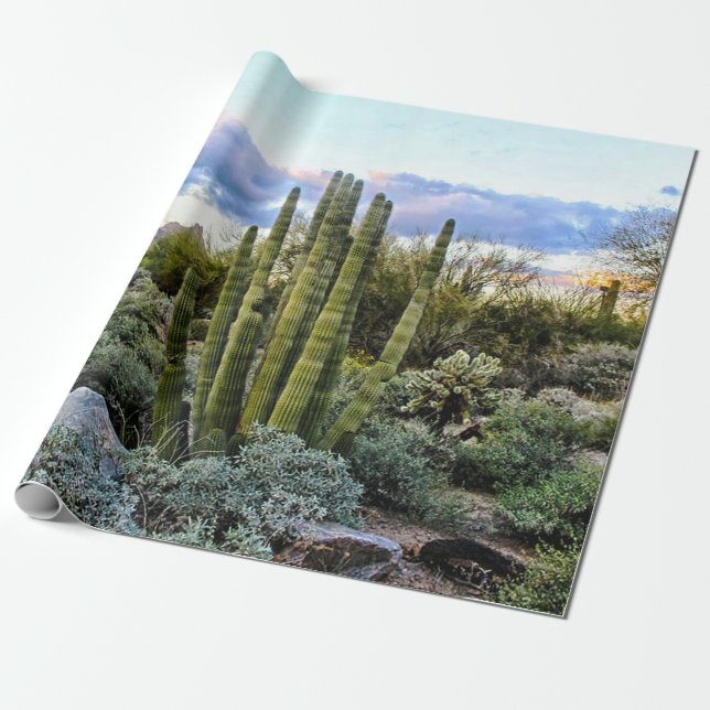 Papel De Presente Por do sol do Succulent de Scottsdale (Desenrolado)