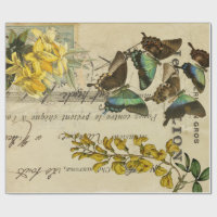 Posters de Decoupage do francês da borboleta
