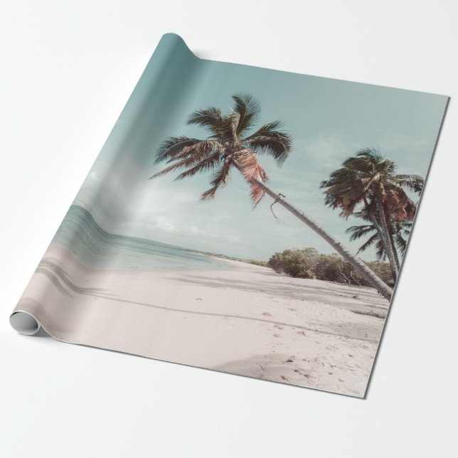 Papel De Presente Praia ao lado da palmeira de coco (Desenrolado)