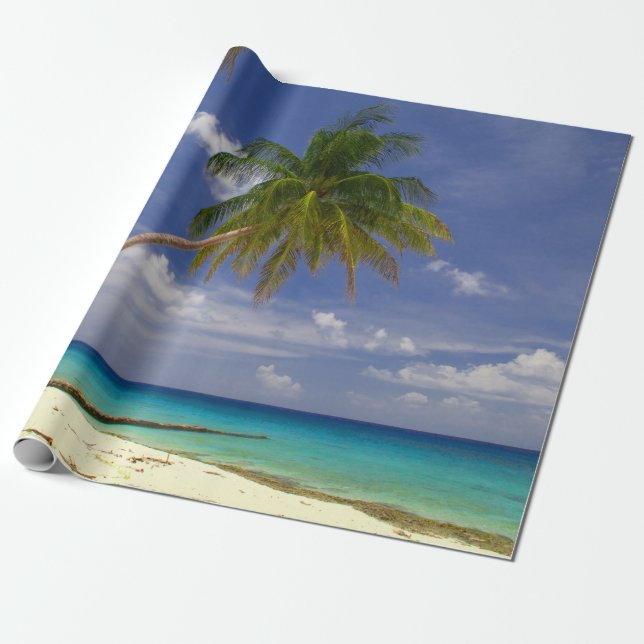 Papel De Presente Praia Tropical de Palm, Árvore Branca Sandy (Desenrolado)