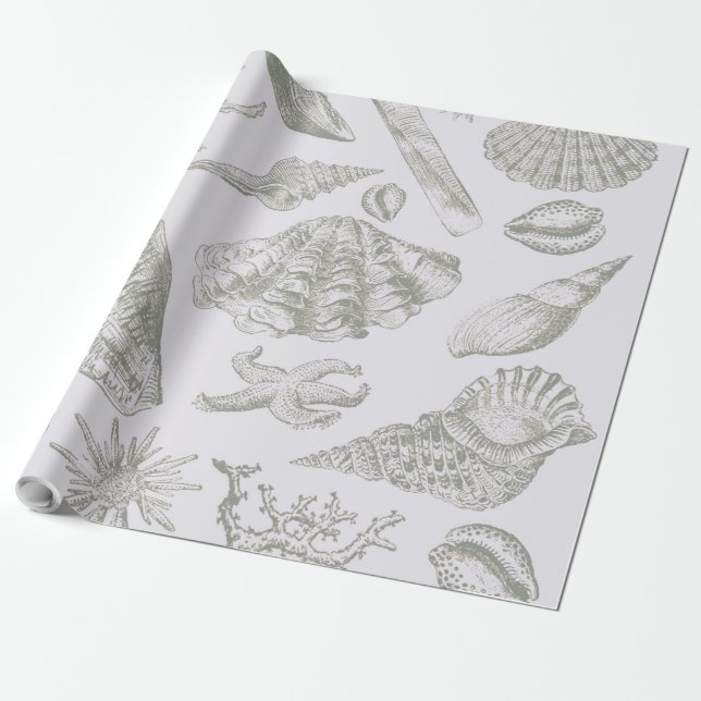 Papel De Presente Prateleiras de Arte Suave de Seashell (Desenrolado)