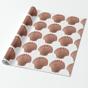 Papel De Presente Prateleiras Scallop