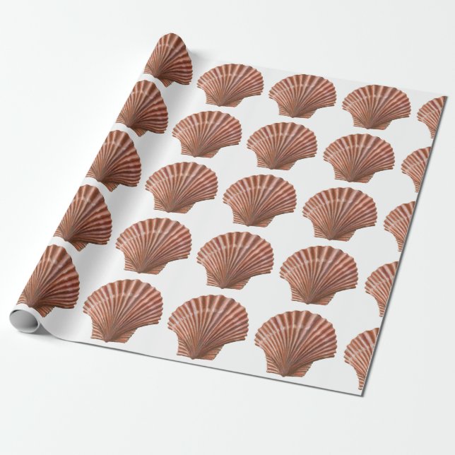 Papel De Presente Prateleiras Scallop (Desenrolado)