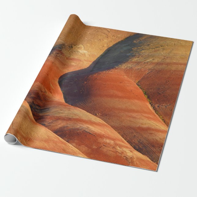 Papel De Presente Pré-histórico (Desenrolado)