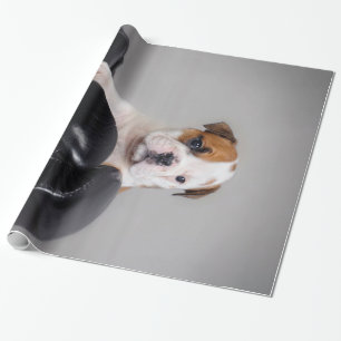 Papel De Presente Presente para Lover Bulldog Boxer Inglês