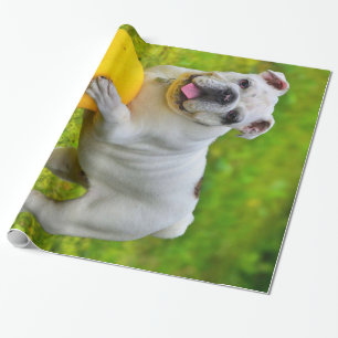 Papel De Presente Presente para Lover-in-touro de Bulldog de Basquet