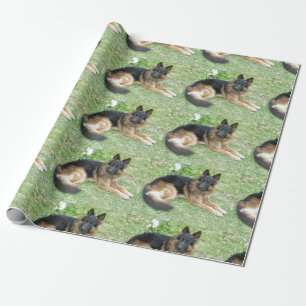 Papel De Presente Preto e Alsatian de Tan