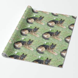 Papel De Presente Preto e Alsatian de Tan