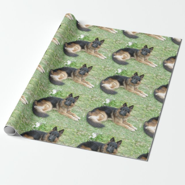 Papel De Presente Preto e Alsatian de Tan (Desenrolado)