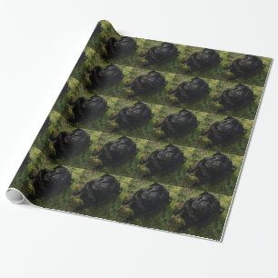 Papel De Presente preto-pug full.png