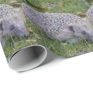 Papel De Presente Prickles-ouriço-cacheiro-europeu-papel-de-embalage