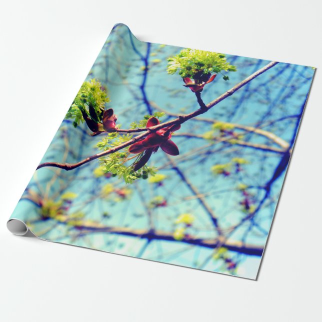 Papel De Presente Primavera floresce a árvore de maple estilizada (Desenrolado)