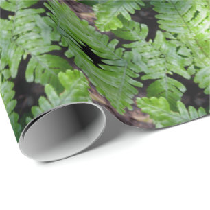Papel De Presente Primavera Green Ferns
