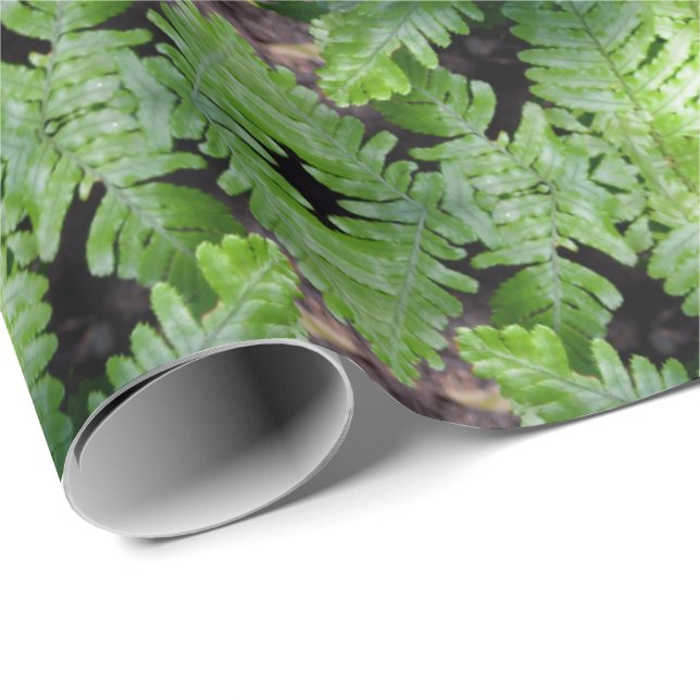 Papel De Presente Primavera Green Ferns (Ponta do rolo)