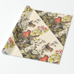 Papel De Presente Primavera Robin Birds Red Birds