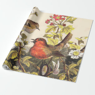 Papel De Presente Primavera Robin Birds Red Birds