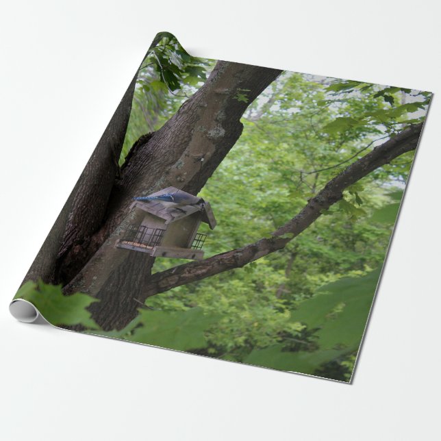 Papel De Presente Procurando uma mordida para comer (Desenrolado)