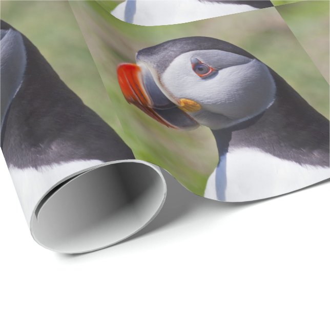 Papel De Presente Puffin Retrato Wraping Paper (Ponta do rolo)