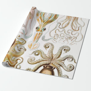 Papel De Presente Pula de Octopus, Gamochonia por Ernst Haeckel
