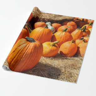 Papel De Presente "Pumpkins Perfeito: Colheita Mais Próxima do outon