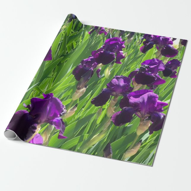Papel De Presente Purple Iris (Desenrolado)