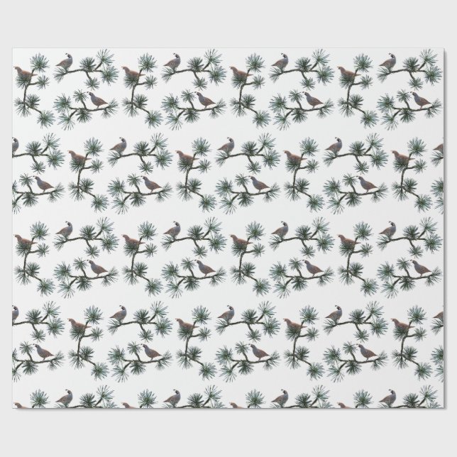 Papel De Presente Quail Pine Wrapping Paper (Aberto)