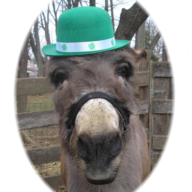 Papel De Presente "Qual é o Grande Acordo?" (Criador carregado)