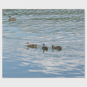 Papel De Presente Quatro Patos no Rio