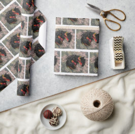 Papel De Presente Queda de Cavalo Frísia