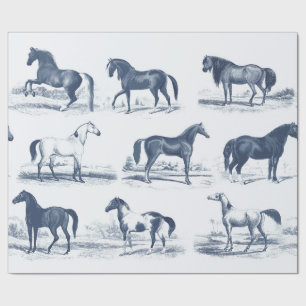 Papel De Presente Rações Elegantes De Cavalos De Túneis Azuis Da Vin