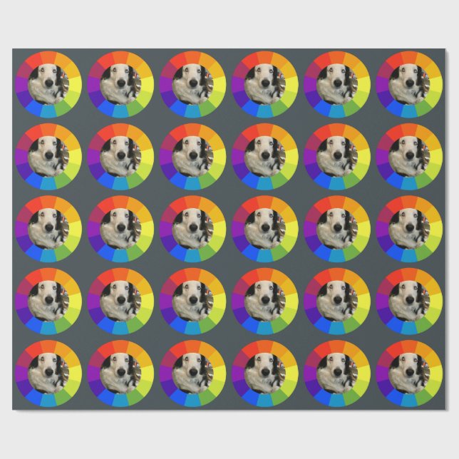 Papel De Presente Rainbow Color Wheel (Aberto)