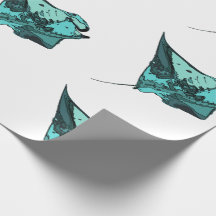 Raio de Manta, (birostris do Manta)