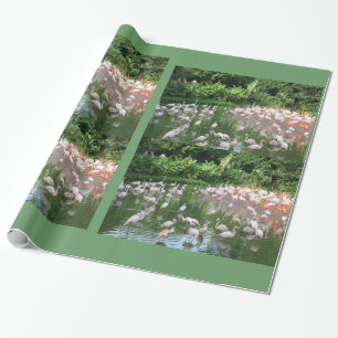 Papel De Presente Rebanho de flamingos aniversário, Natal embrulho d