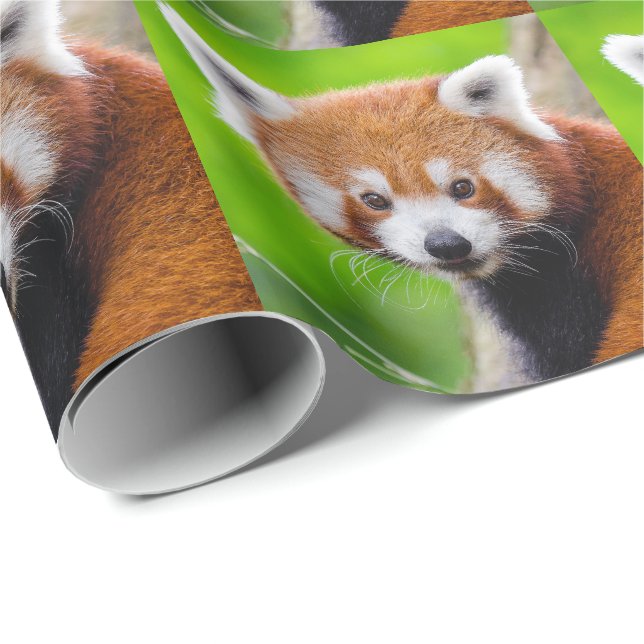 Papel De Presente Red Panda (Ponta do rolo)